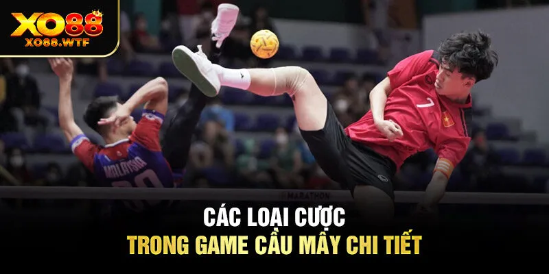 Các loại cược trong game cầu mây chi tiết