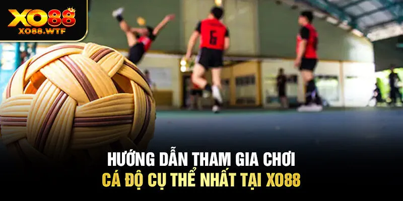 Hướng dẫn tham gia chơi cá độ cụ thể nhất tại Xo88