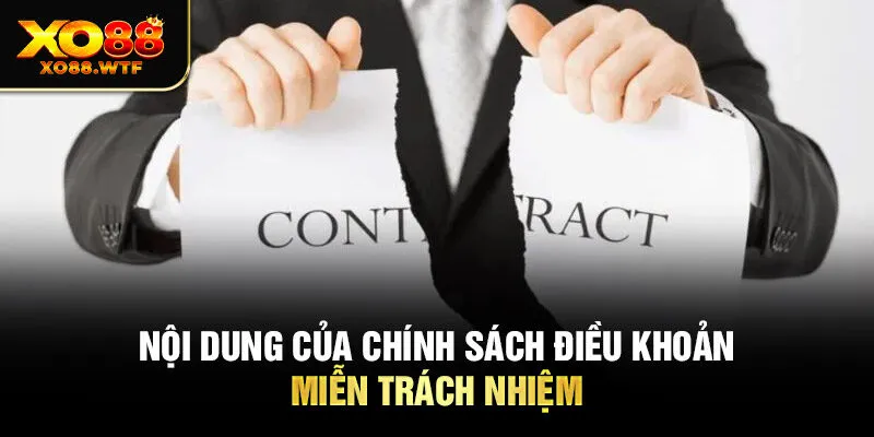 Nội dung của chính sách điều khoản miễn trách nhiệm