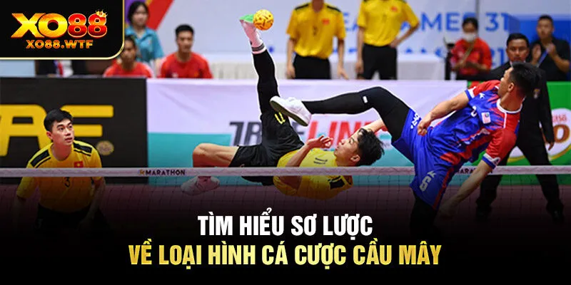 Tìm hiểu sơ lược về loại hình cá cược cầu mây